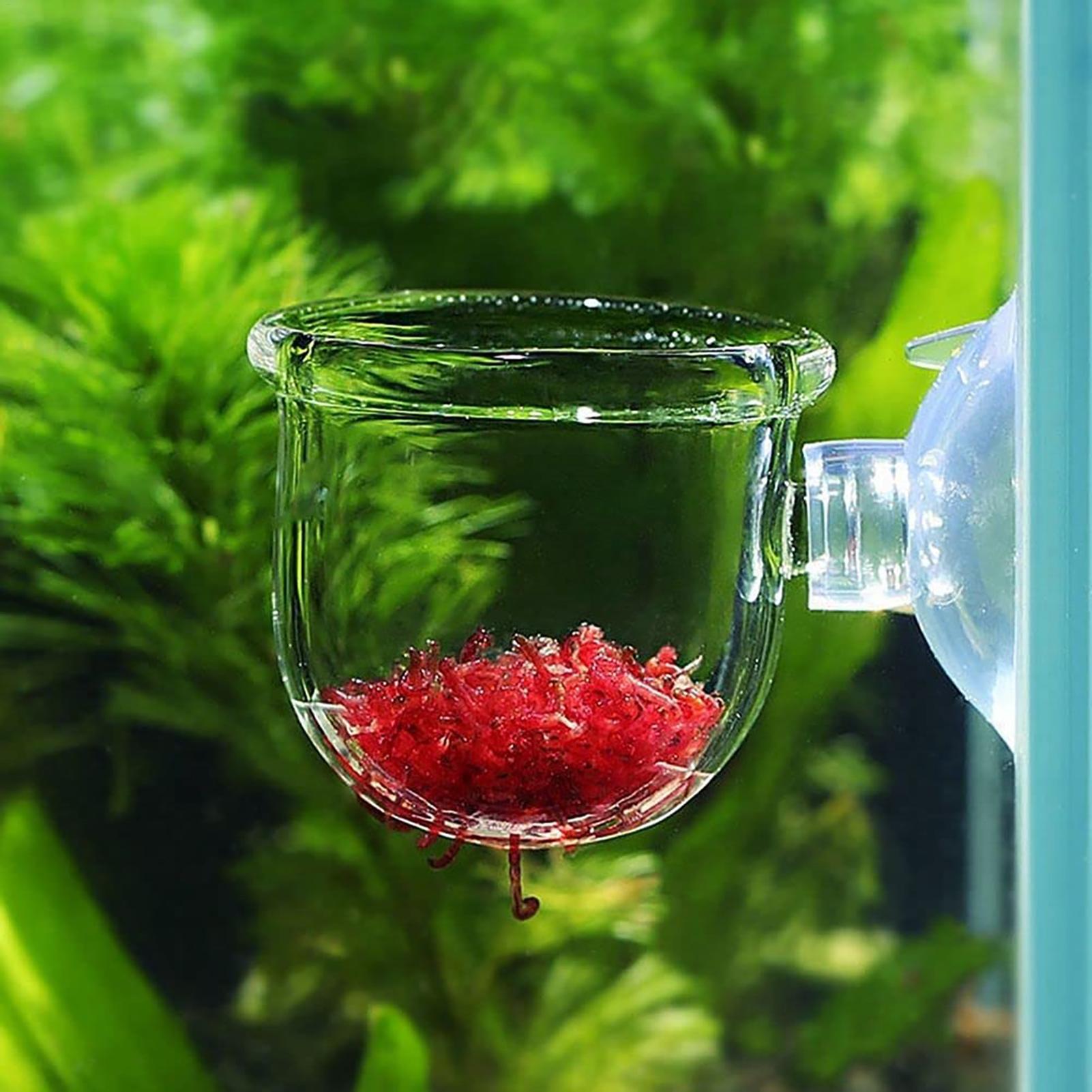 Aquarium Plant Seeds - Pot de plantes d'aquarium, tasse cylindrique