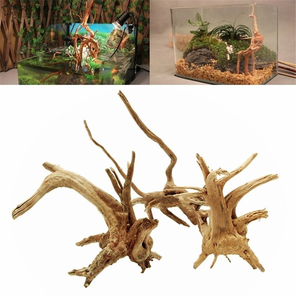 Aquarium Plant Root Tabs - Décorations Précieuses de Poissons en Bois