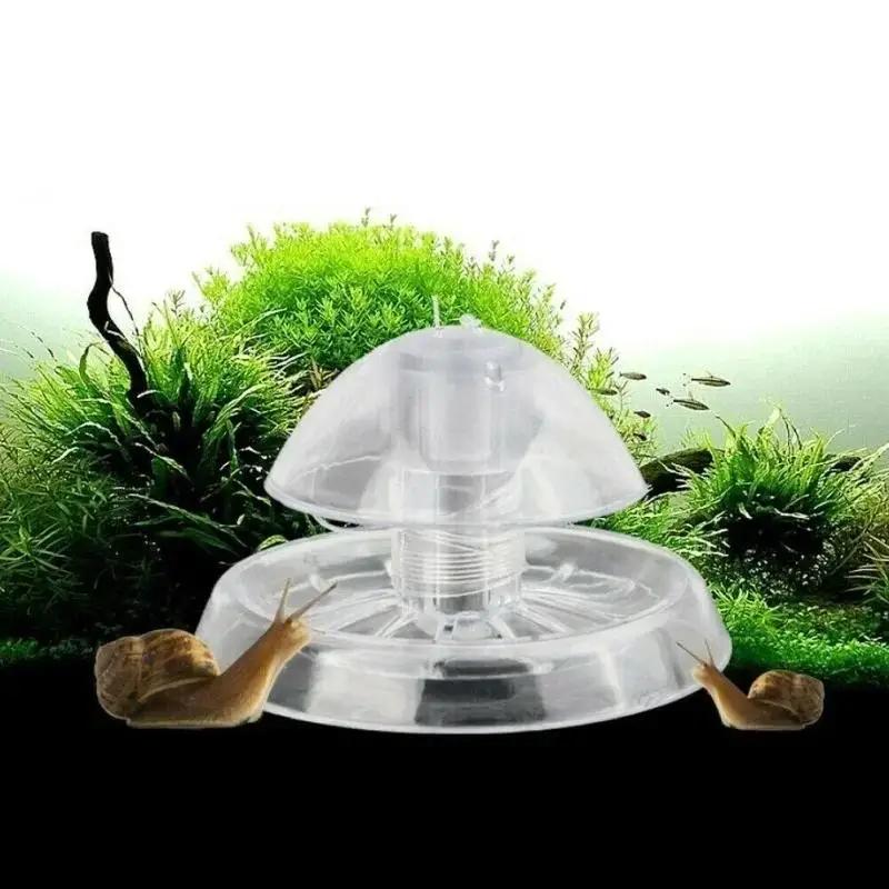 Aquarium Plant Utensils - Nouvelle boîte piège à escargots en