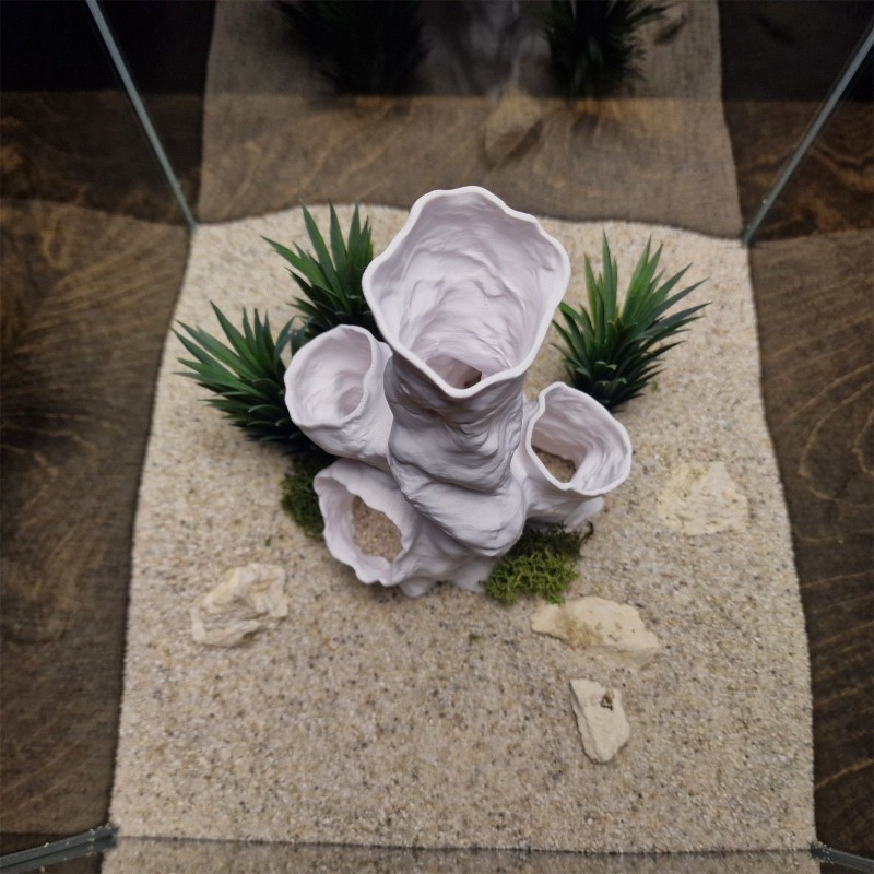 Planted Aquarium For Sale - Promotion : Décoration 3D Imprimée pour