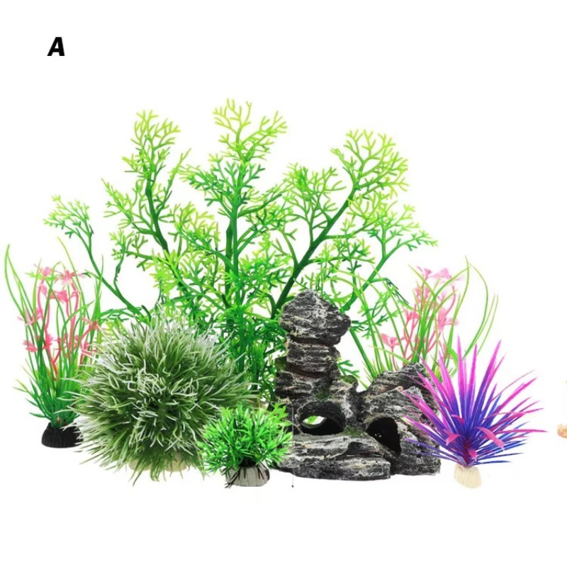 Planted Aquarium For Sale - 10 pièces - Nouveauté très demandée