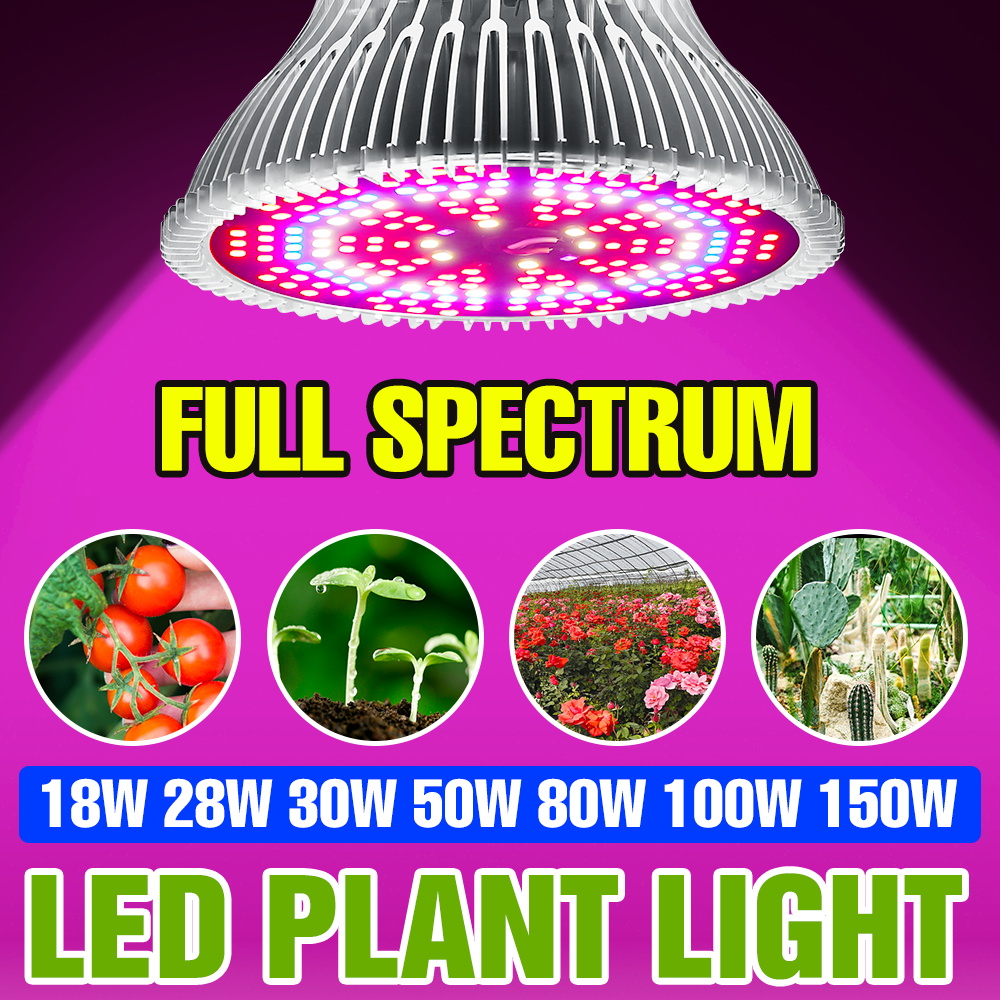 Aquarium Plant Root Tabs - Ampoule LED pour plantes à spectre