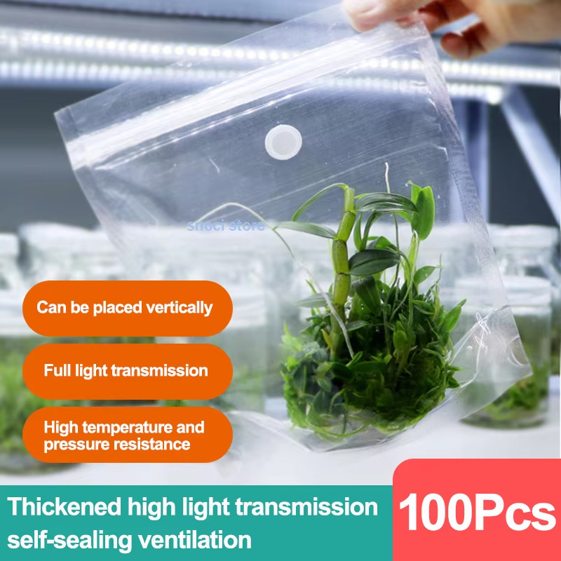 Tissue Culture Plant - Film d'étanchéité pour culture tissulaire, film