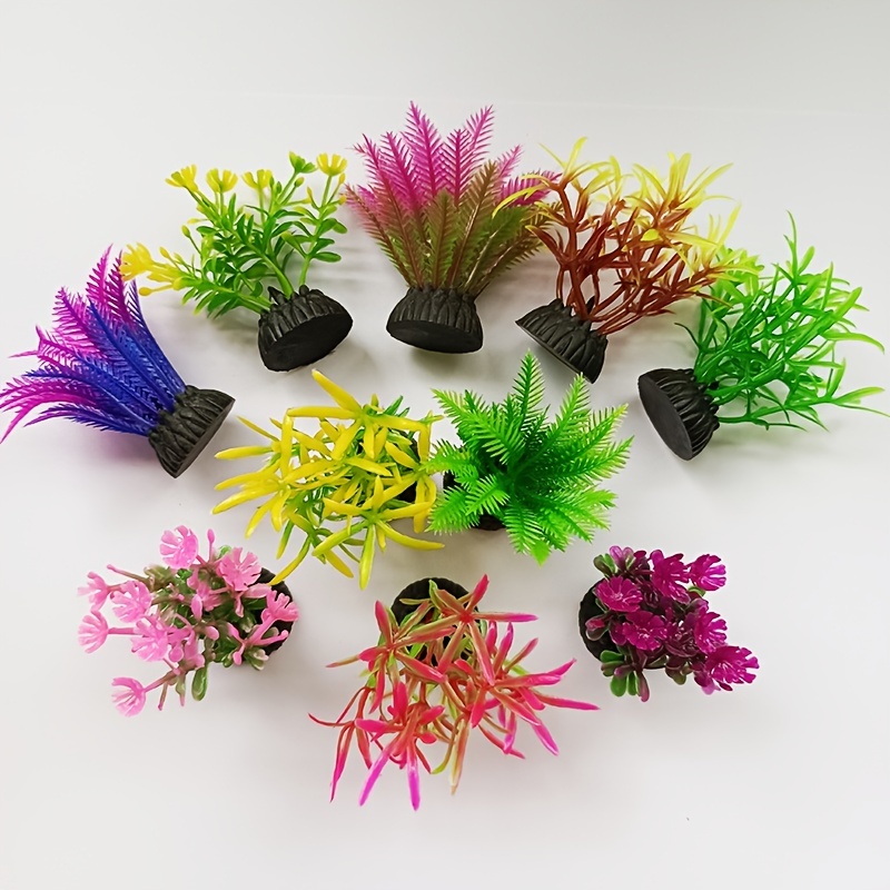 Aquarium Plant Seeds - Plantes d'aquarium artificielles Abropérer Seed Vibrant,