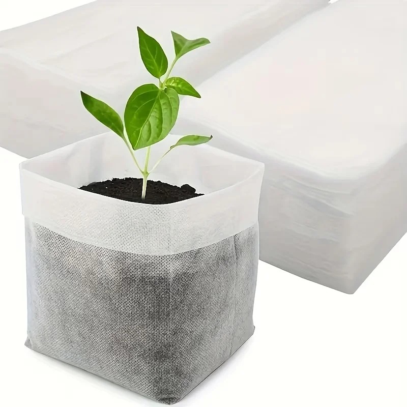 Tissue Culture Plant - Sacs de culture pour plantes en