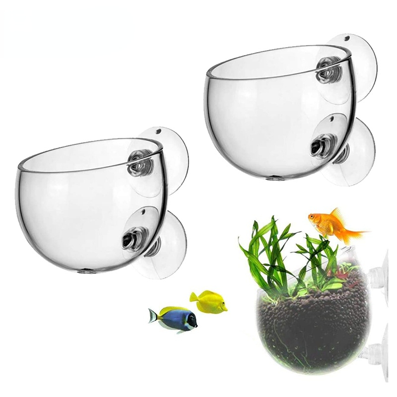 Aquarium Plant Seeds - Pot de plantes d'aquarium, tasse cylindrique