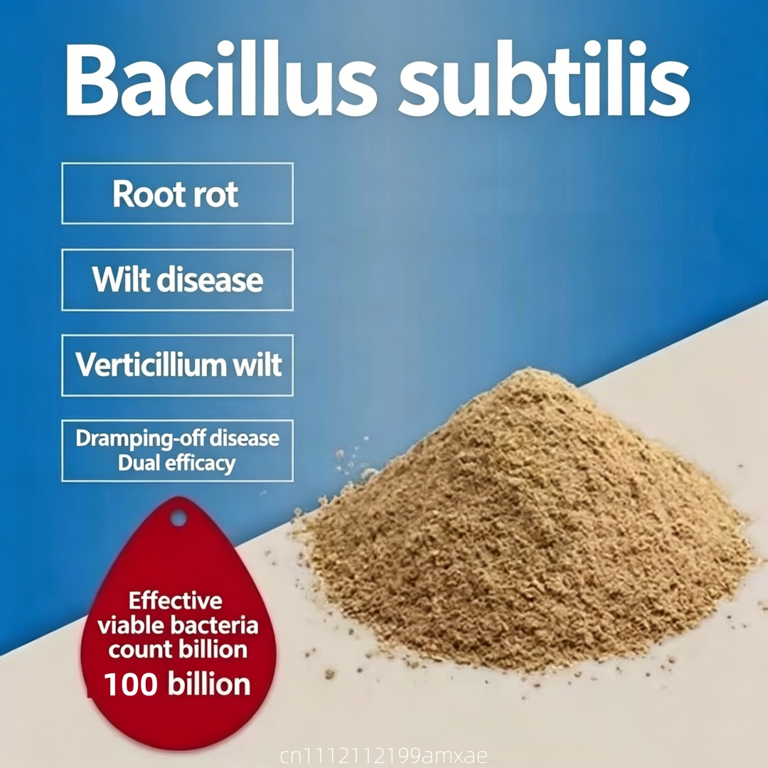 Planted Aquarium Fertilizer - Poudre de Bacillus Subtilis à haute