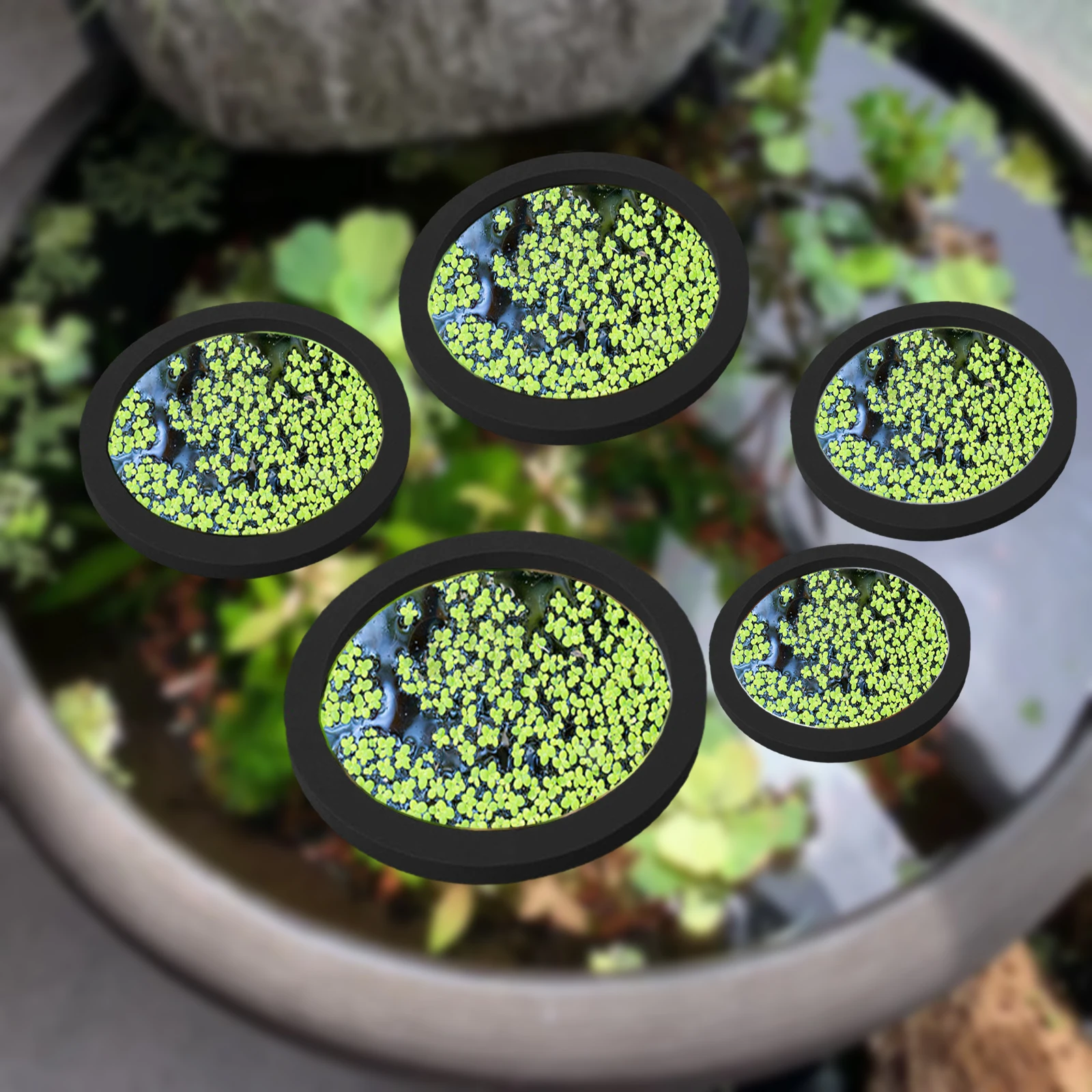 Aquarium Plant Original - Anneaux d'Alimentation pour Aquarium, Plante Flottante,