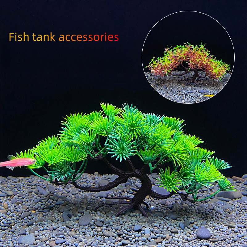 Aquarium Plant Seeds - Bonsaï d'aquarium, plante, décoration d'aquarium, plante