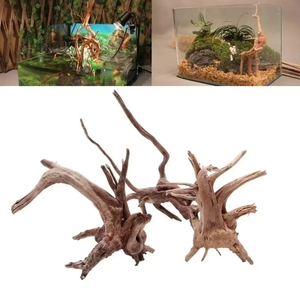 Aquarium Planting Ideas - (15-20cm) Décoration d'aquarium en bois flotté