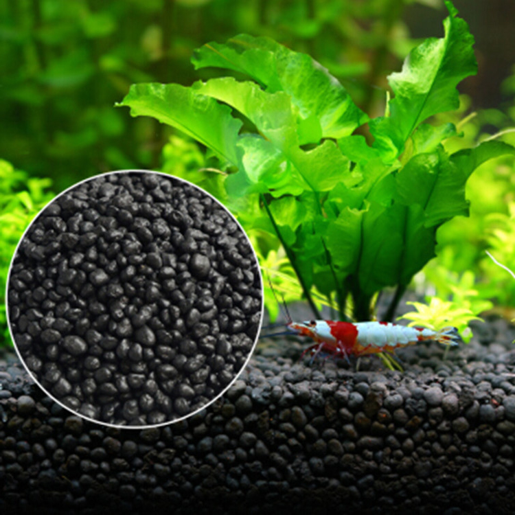 Aquarium Plant Nursery - Sol de graines de plantes d'aquarium,