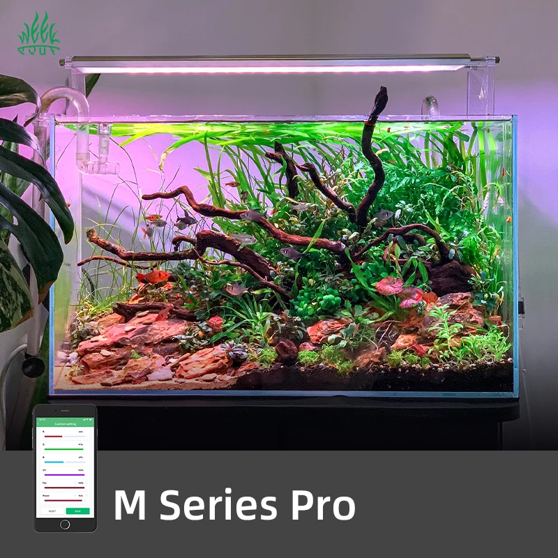 Planted Aquarium For Sale - Lampe LED intelligente ZXY WEEK AQUA