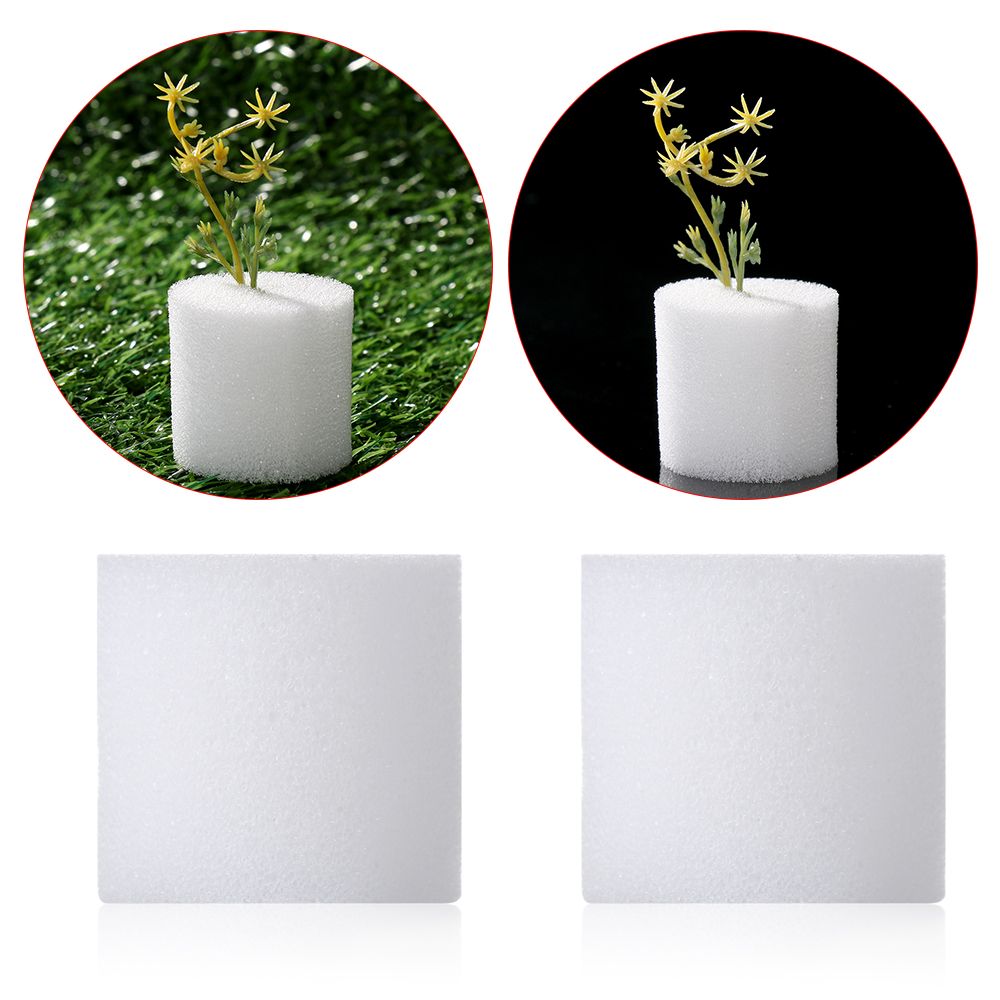 Aquarium Plant Seeds - 10/50pcs Durable Fournitures De Jardin Aquarium