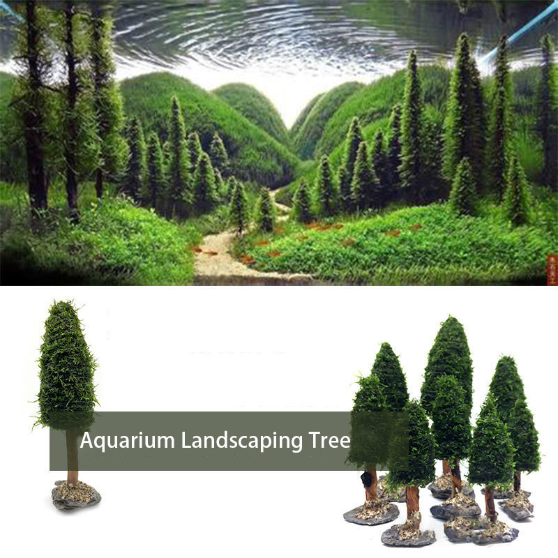 Aquarium Plant Seeds - Décoration d'aquarium avec plantes, mousse d'arbre
