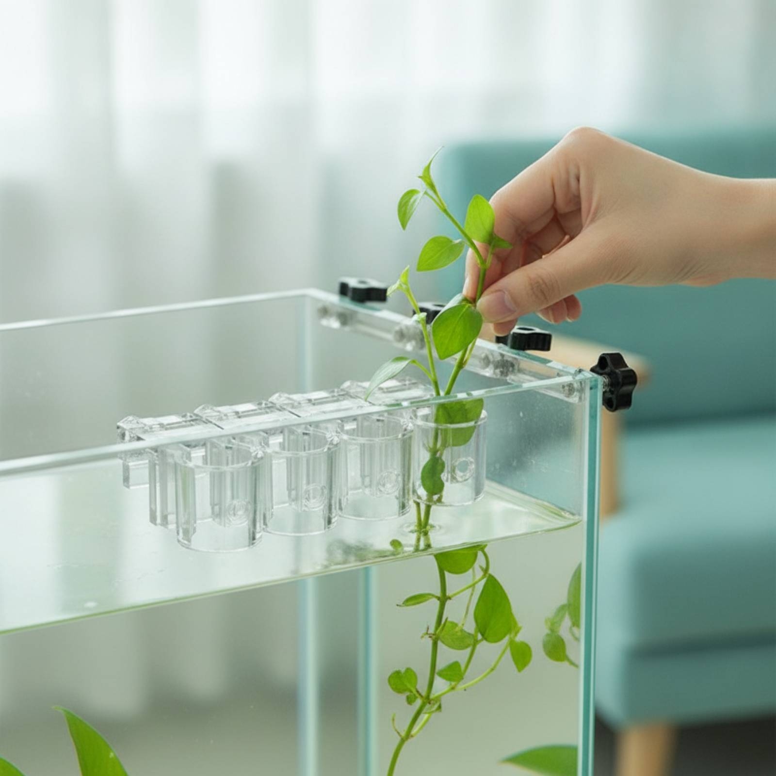 Lot de 6 supports transparents - Aquarium Plant Original avis et prix