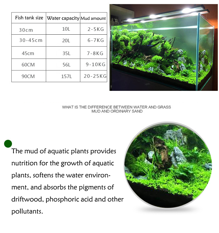 Eau d'Aquarium pour Plantes de - Aquarium Plant Seeds avis et prix