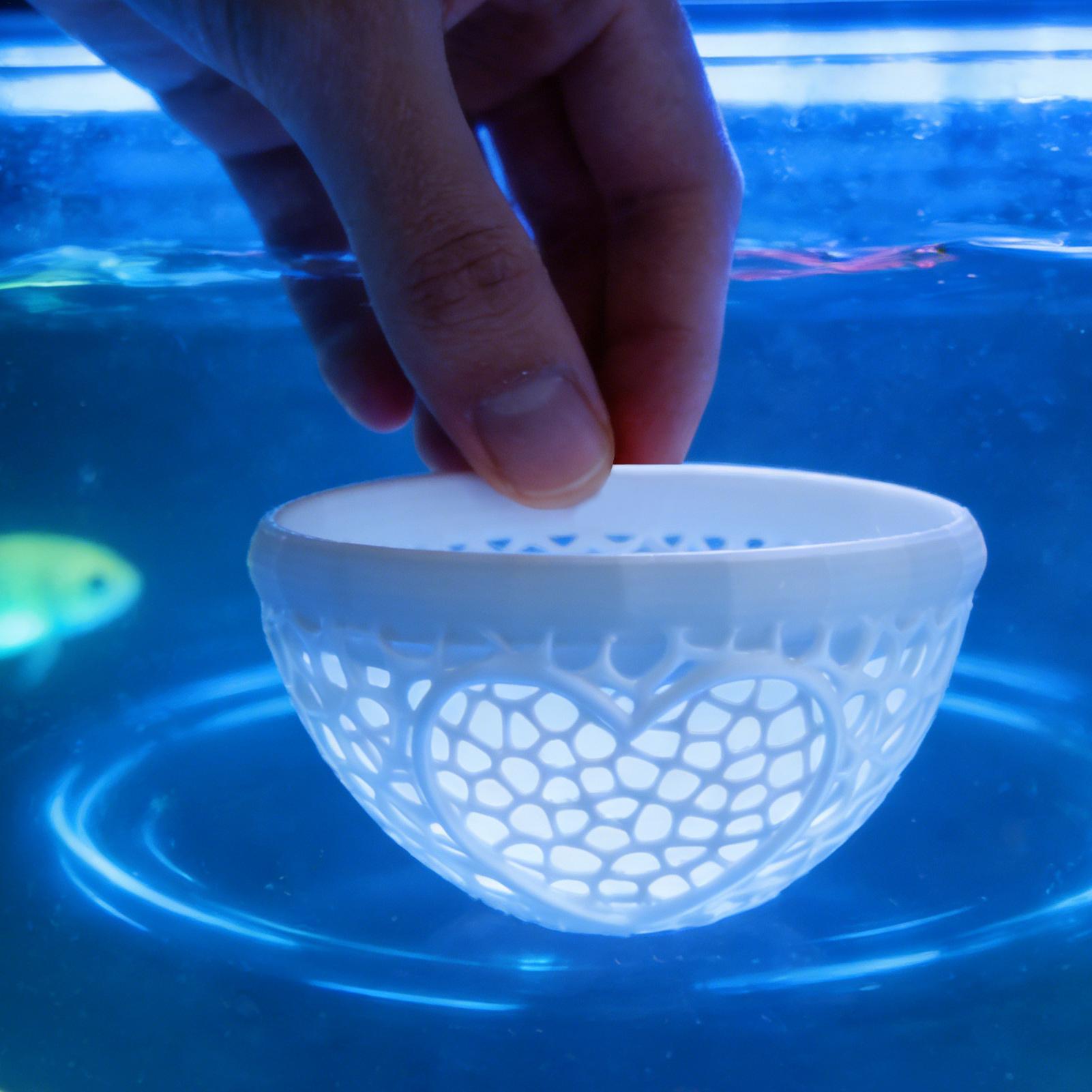 Abri flottant pour betta, hama - Planted Aquarium Betta avis et prix