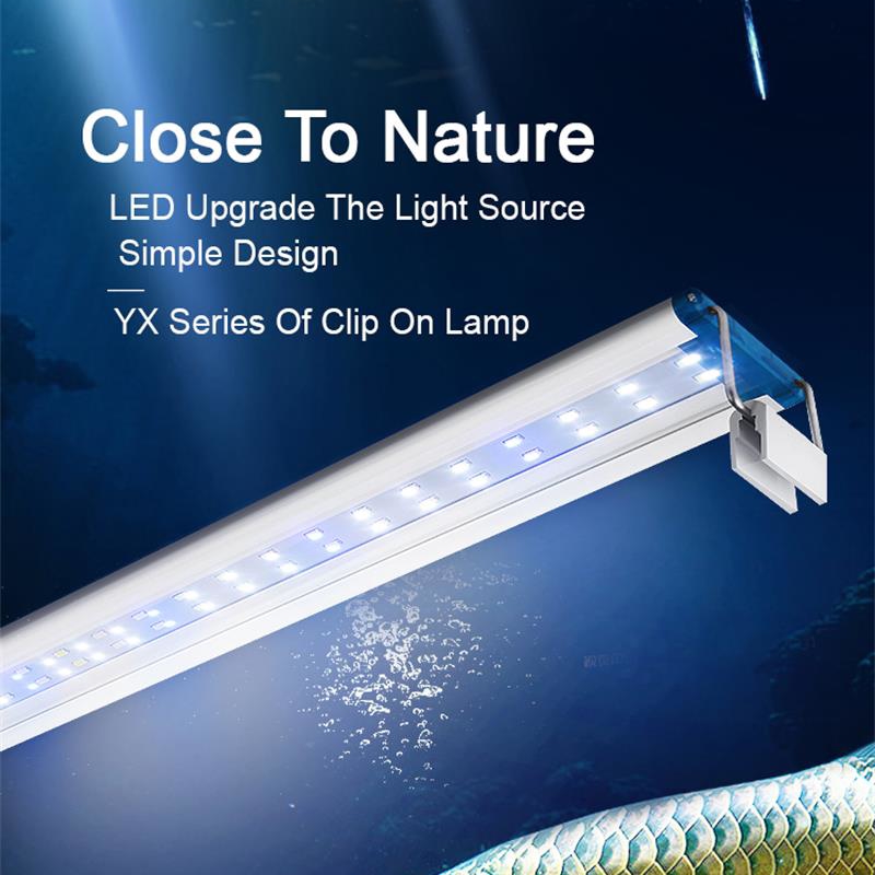 Extensible Étanche Clip sur La - Aquarium Plant Display avis et prix