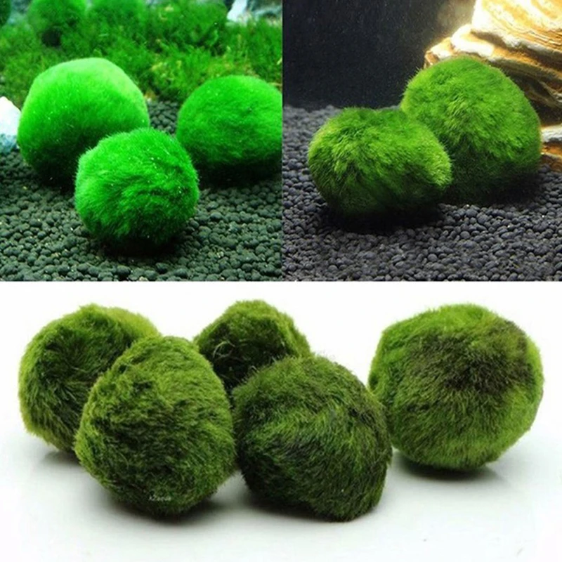 1 pièce Boules de mousse de 3- - Aquarium Planted Tank Substrate avis et prix