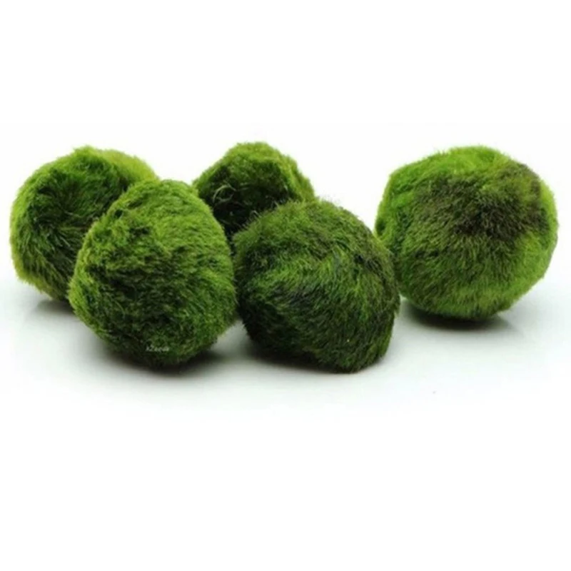 1 pièce Boules de mousse de 3- - Aquarium Planted Tank Substrate avis et prix