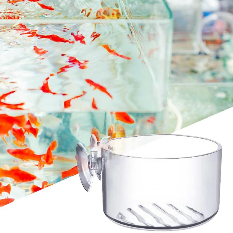 Pot de plantes d'aquarium, tas - Aquarium Plant Seeds avis et prix