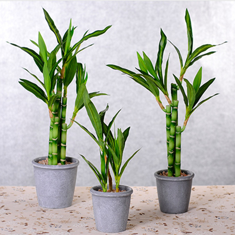 Nouvelle plante artificielle B - Aquarium Plant Nursery avis et prix