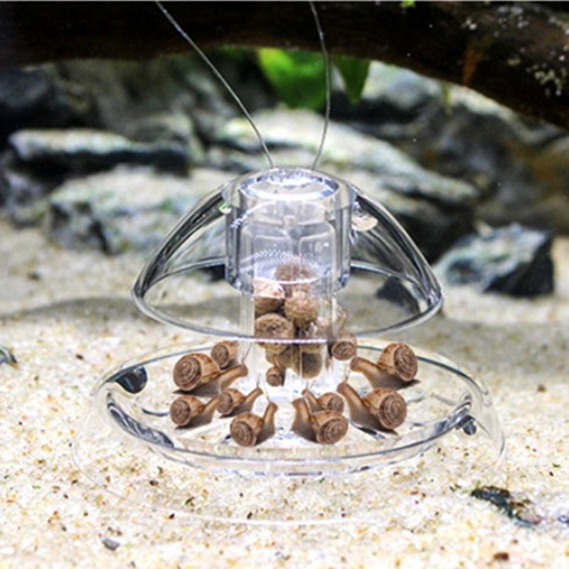 Nettoyeur d'aquarium en plasti - Aquarium Plant Utensils avis et prix