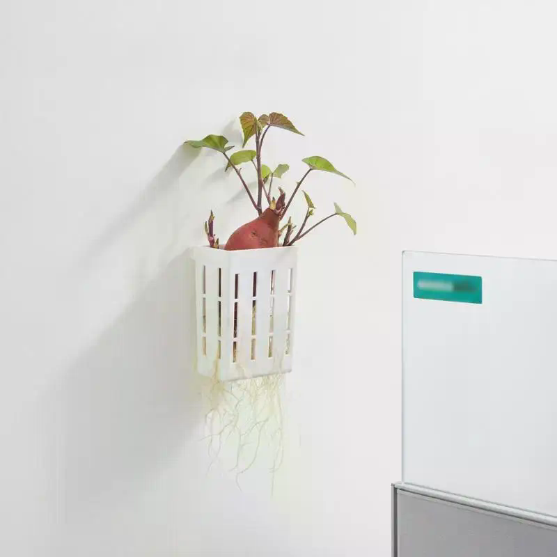 1 pièce Panier de support hydr - Aquarium Plant Original avis et prix