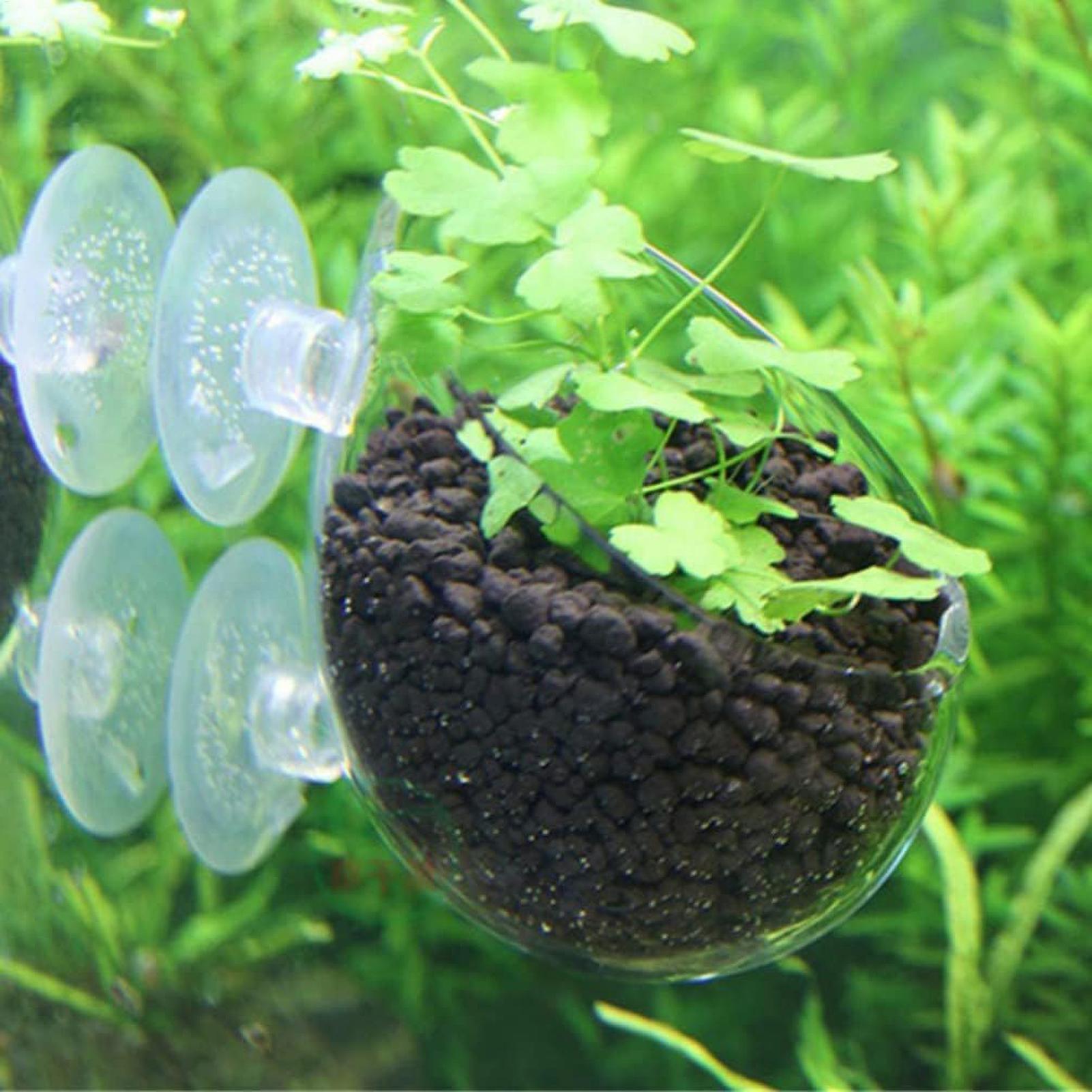 Support pour plantes d'aquariu - Aquarium Planted Tank Substrate avis et prix
