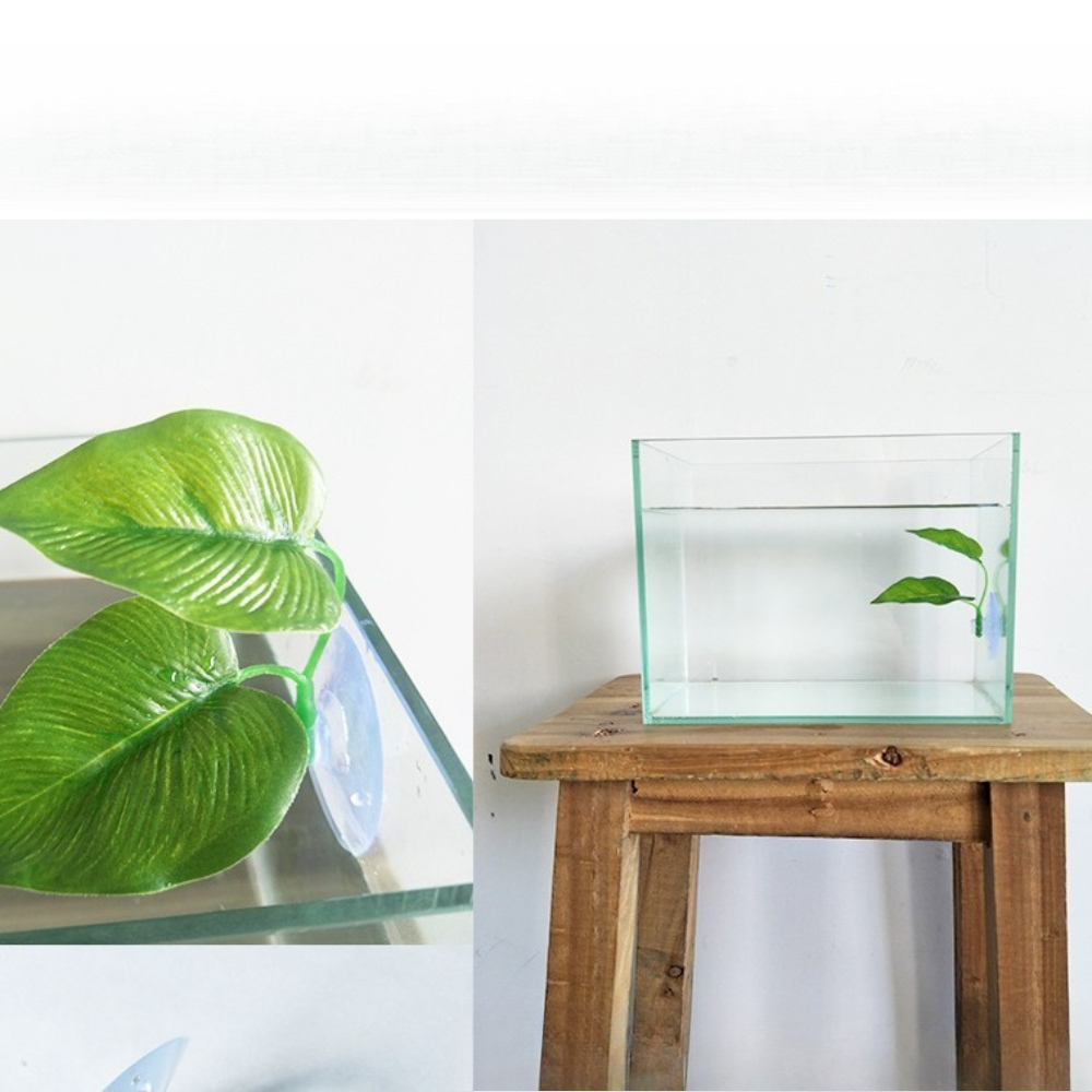 1/3/5/10 Pièces Hamac en feuil - Planted Aquarium Betta avis et prix