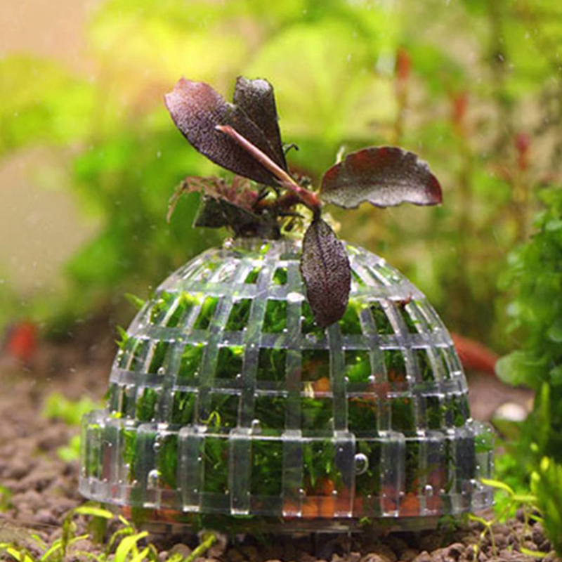 Offre Spéciale : Décorations e - Planted Aquarium For Sale avis et prix