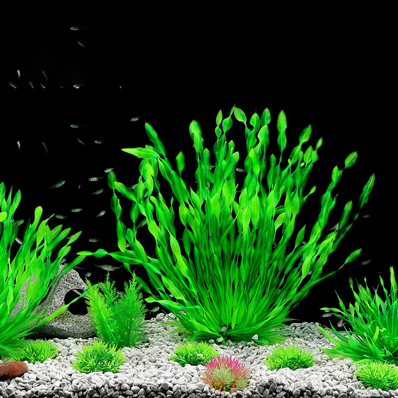 Plantes artificielles d'aquari - Aquarium Plant Seeds avis et prix