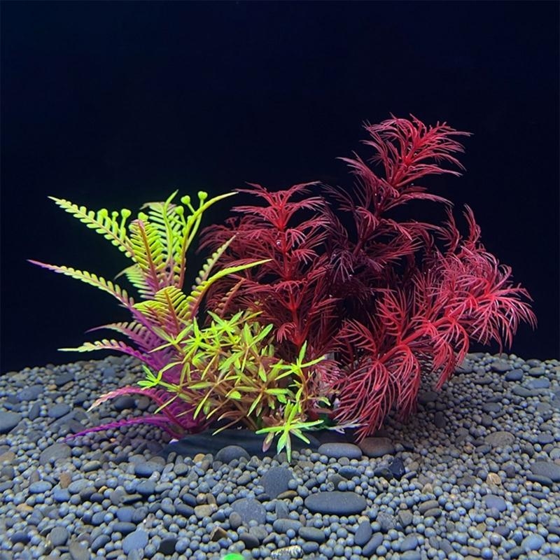 Décoration d'aquarium artifici - Planted Aquarium For Sale avis et prix