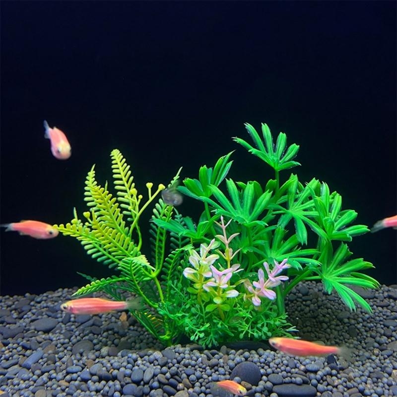 Décoration d'aquarium artifici - Planted Aquarium For Sale avis et prix