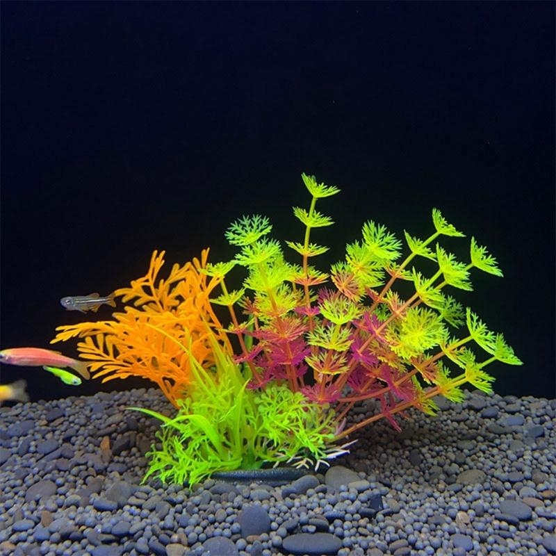 Décoration d'aquarium artifici - Planted Aquarium For Sale avis et prix
