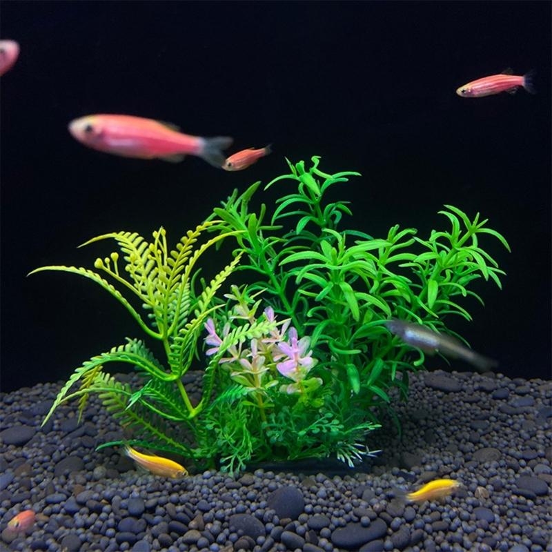 Décoration d'aquarium artifici - Planted Aquarium For Sale avis et prix