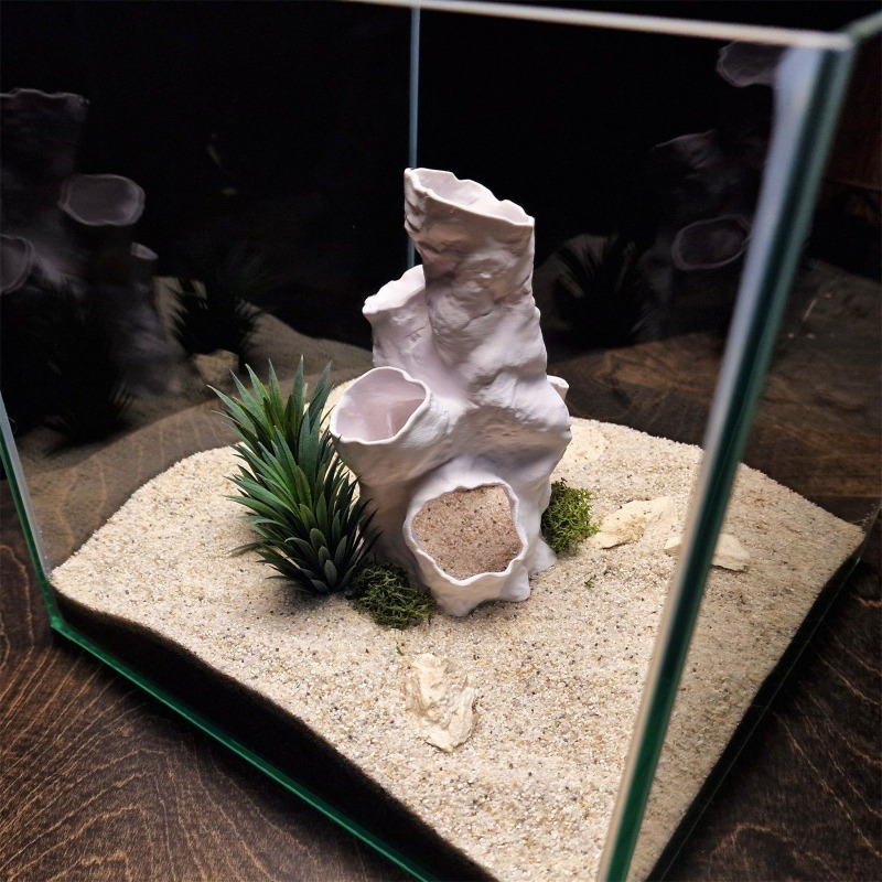 Promotion : Décoration 3D Impr - Planted Aquarium For Sale avis et prix