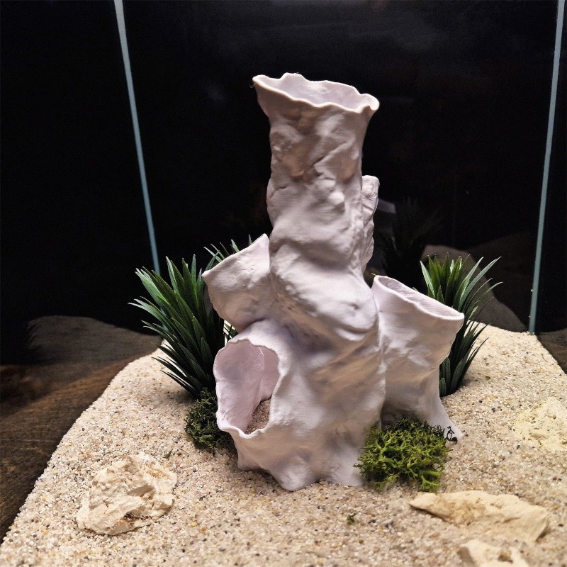 Promotion : Décoration 3D Impr - Planted Aquarium For Sale avis et prix