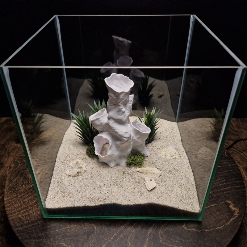 Promotion : Décoration 3D Impr - Planted Aquarium For Sale avis et prix