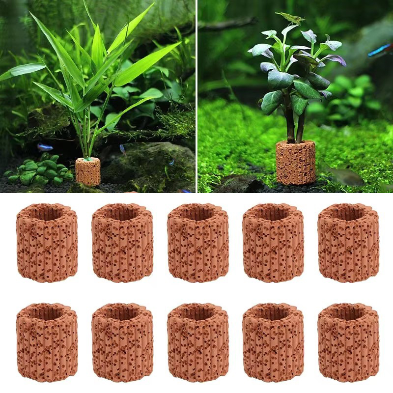 Anneau fixe pour plantes aquat - Aquarium Plant Utensils avis et prix
