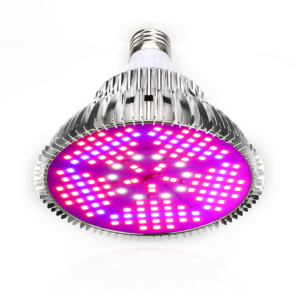 Ampoule LED pour plantes d'aqu - Aquarium Plant Seeds avis et prix
