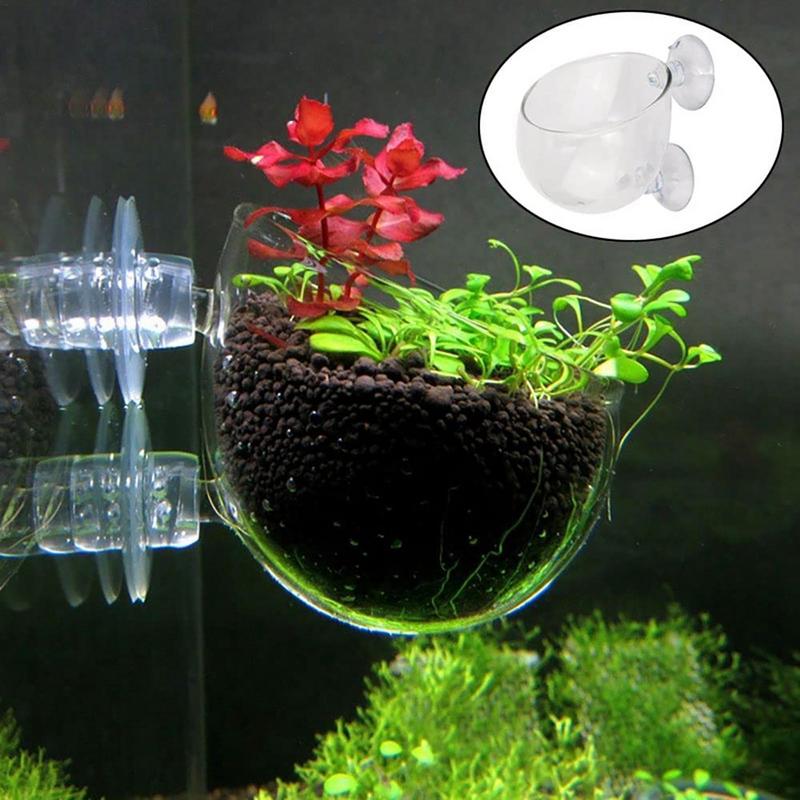 Pot d'Aquarium en Acrylique av - Aquarium Plant Seeds avis et prix
