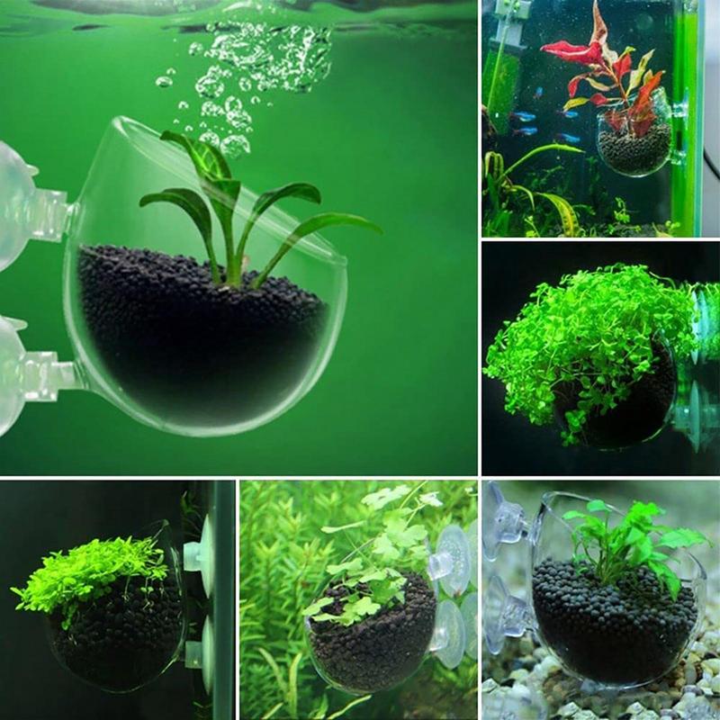 Pot d'Aquarium en Acrylique av - Aquarium Plant Seeds avis et prix