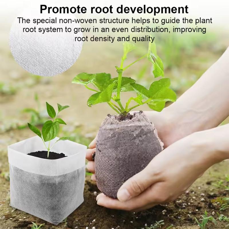 100 sacs de pépinière biodégra - Tissue Culture Plant avis et prix