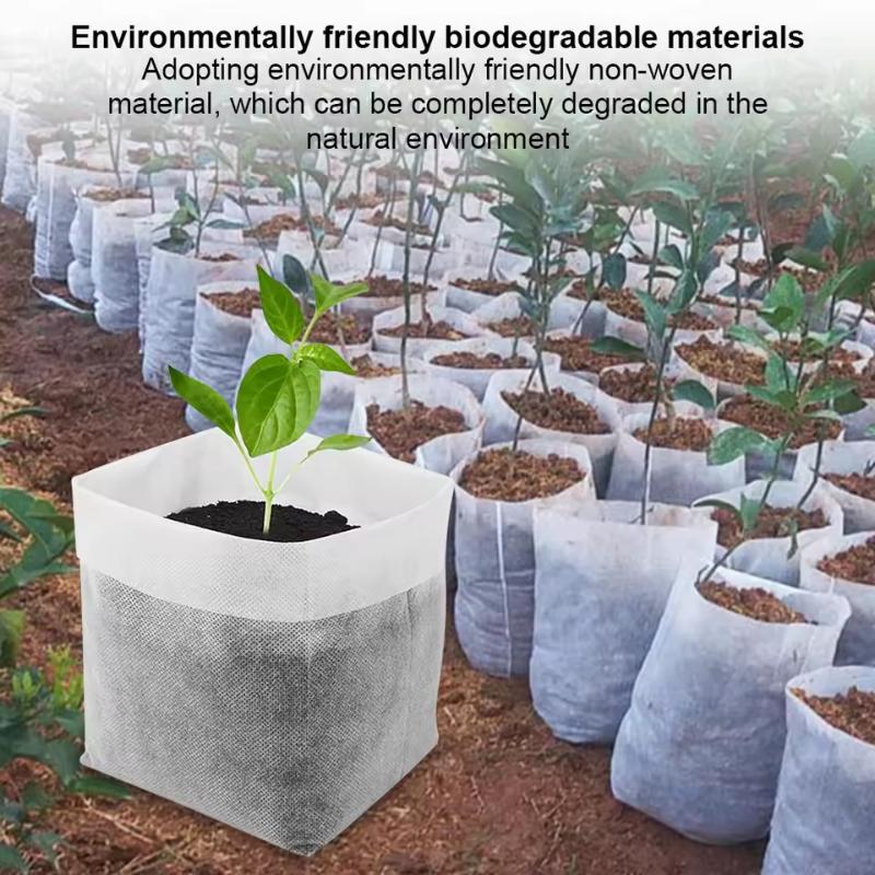100 sacs de pépinière biodégra - Tissue Culture Plant avis et prix