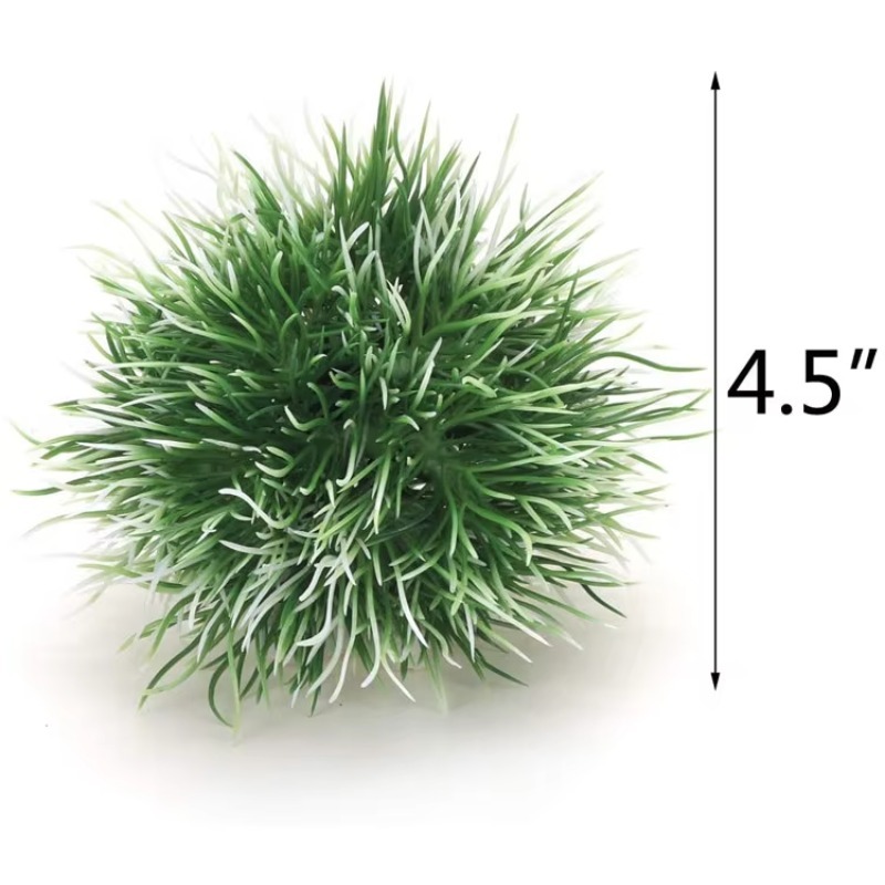 10 pièces - Nouveauté très dem - Planted Aquarium For Sale avis et prix
