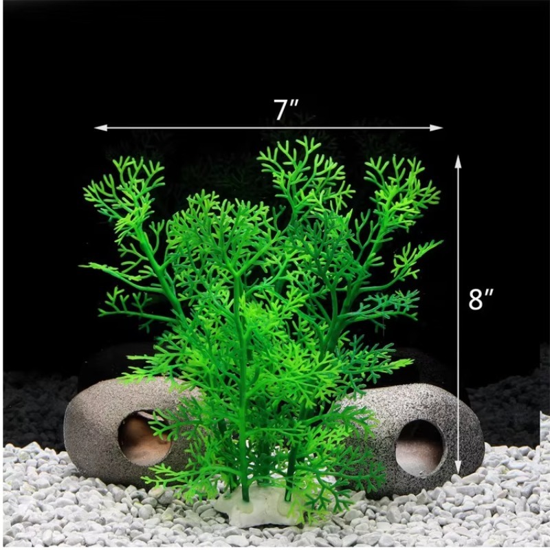 10 pièces - Nouveauté très dem - Planted Aquarium For Sale avis et prix