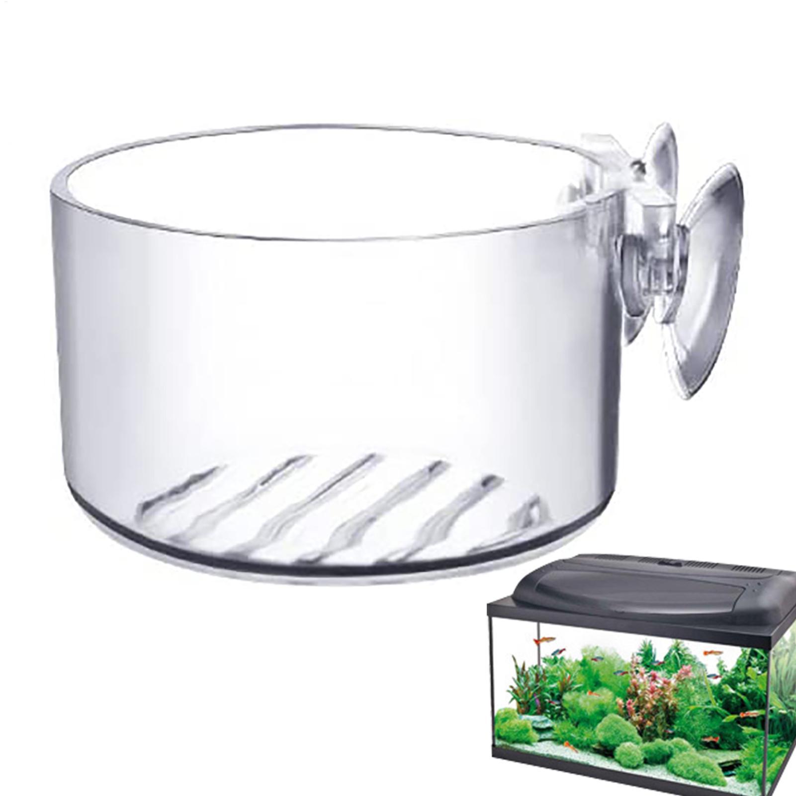 Pot de décoration pour aquariu - Aquarium Plant Utensils avis et prix
