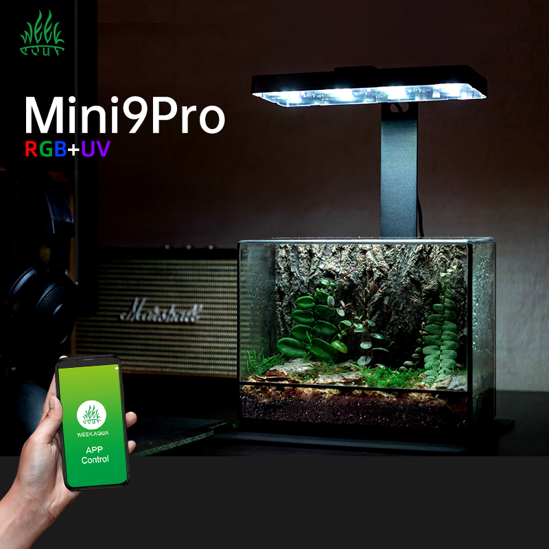 Vente flash Mini9pro Nano Terr - Planted Aquarium For Sale avis et prix