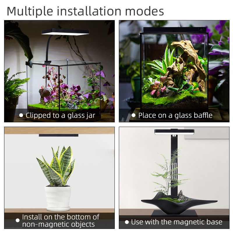 Vente flash Mini9pro Nano Terr - Planted Aquarium For Sale avis et prix